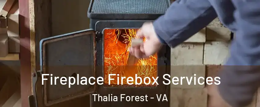 Fireplace Firebox Services Thalia Forest - VA