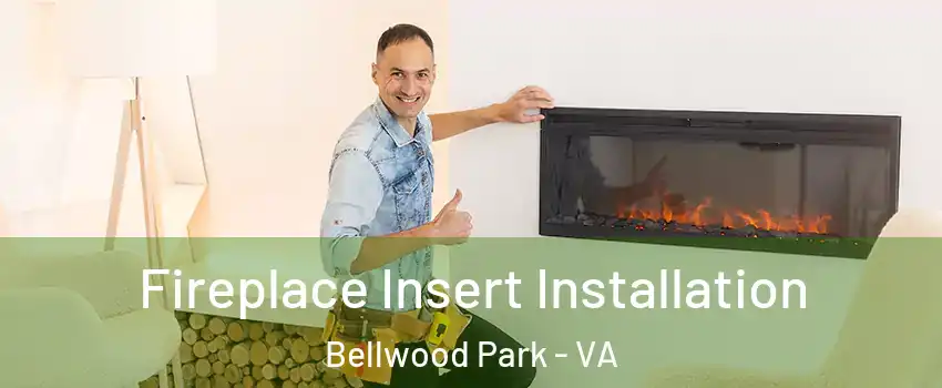 Fireplace Insert Installation Bellwood Park - VA