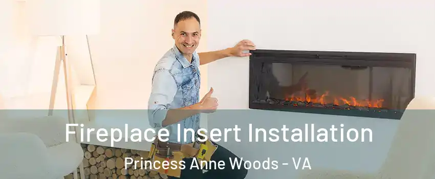 Fireplace Insert Installation Princess Anne Woods - VA