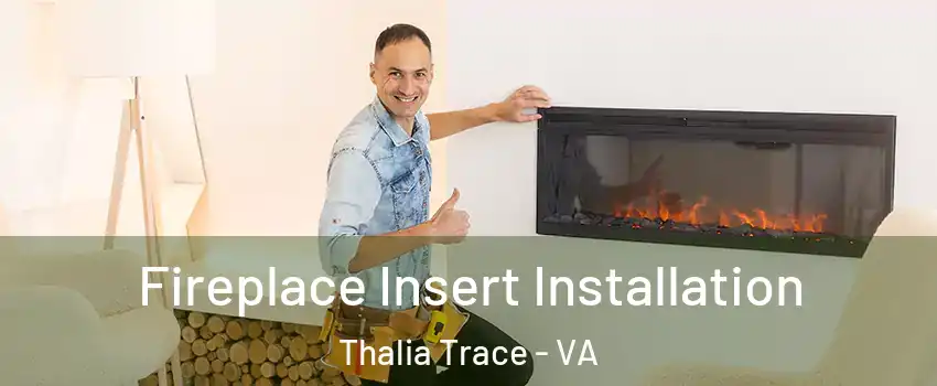 Fireplace Insert Installation Thalia Trace - VA