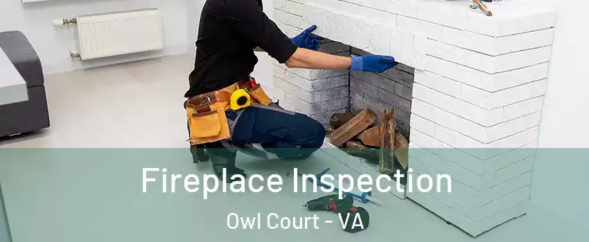 Fireplace Inspection Owl Court - VA