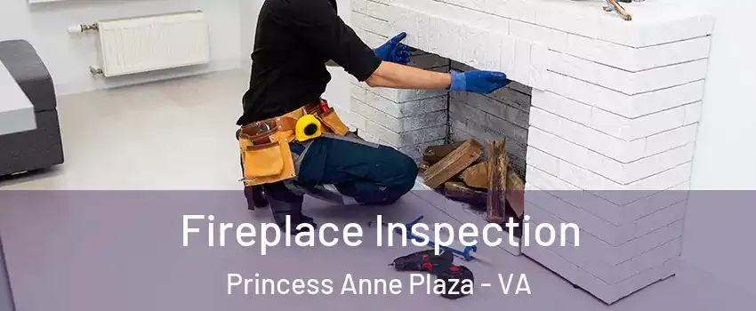 Fireplace Inspection Princess Anne Plaza - VA