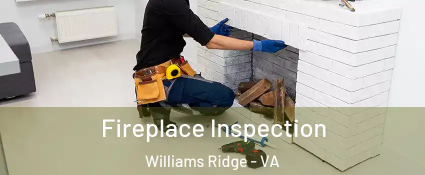 Fireplace Inspection Williams Ridge - VA