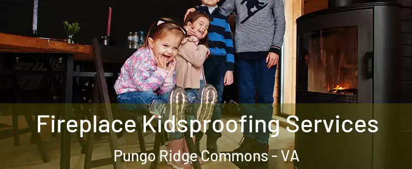 Fireplace Kidsproofing Services Pungo Ridge Commons - VA