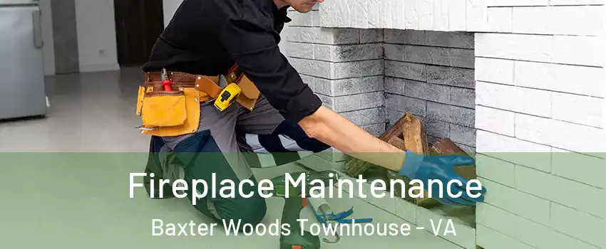 Fireplace Maintenance Baxter Woods Townhouse - VA