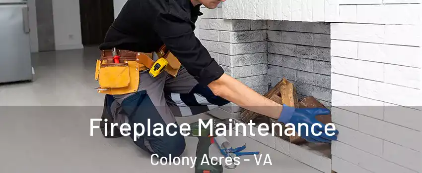 Fireplace Maintenance Colony Acres - VA