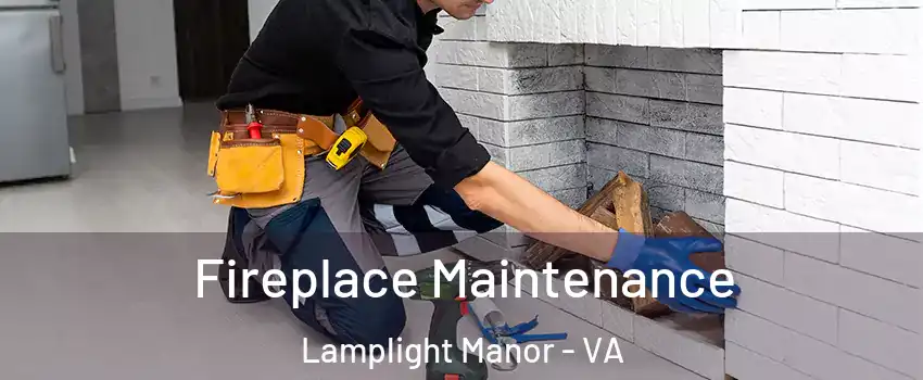 Fireplace Maintenance Lamplight Manor - VA