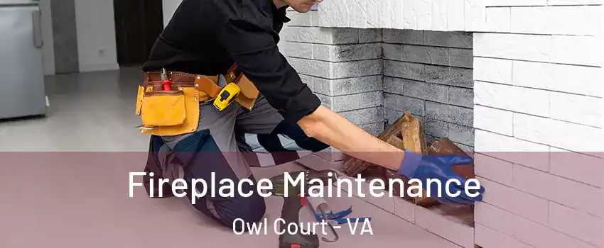 Fireplace Maintenance Owl Court - VA