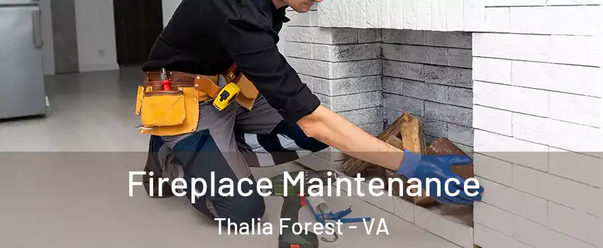 Fireplace Maintenance Thalia Forest - VA