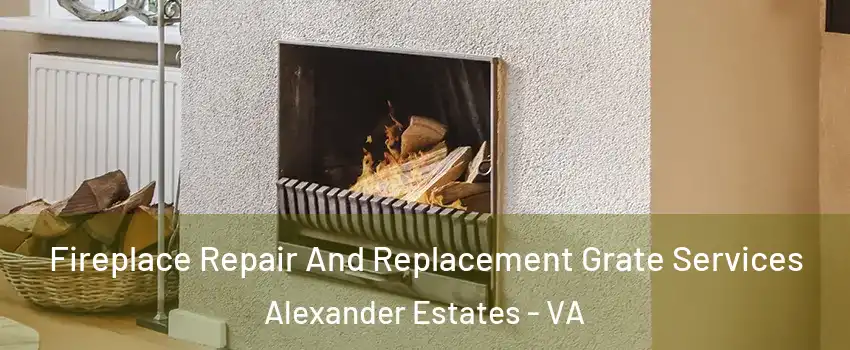 Fireplace Repair And Replacement Grate Services Alexander Estates - VA