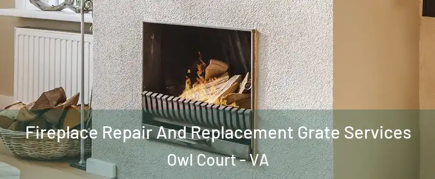 Fireplace Repair And Replacement Grate Services Owl Court - VA