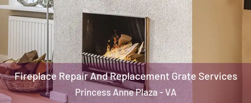 Fireplace Repair And Replacement Grate Services Princess Anne Plaza - VA