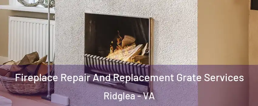 Fireplace Repair And Replacement Grate Services Ridglea - VA