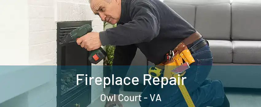 Fireplace Repair Owl Court - VA