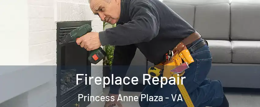 Fireplace Repair Princess Anne Plaza - VA