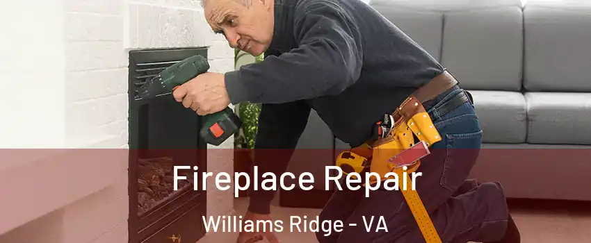 Fireplace Repair Williams Ridge - VA