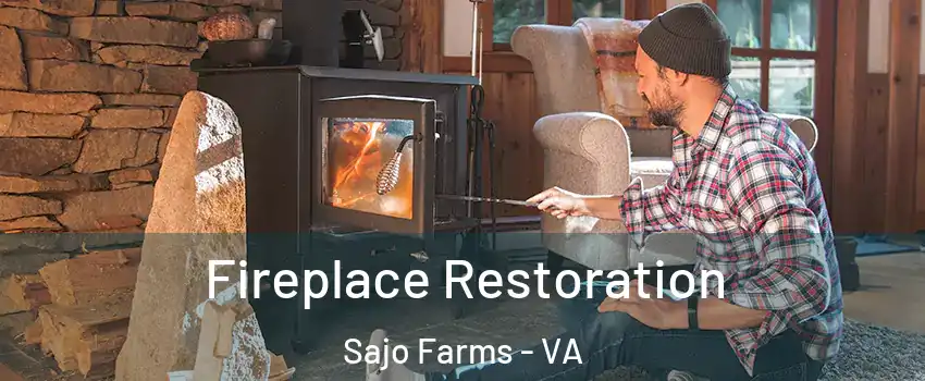 Fireplace Restoration Sajo Farms - VA