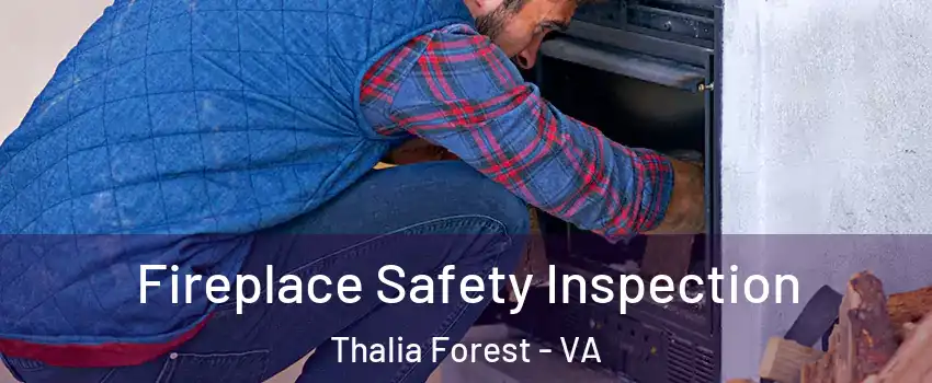 Fireplace Safety Inspection Thalia Forest - VA