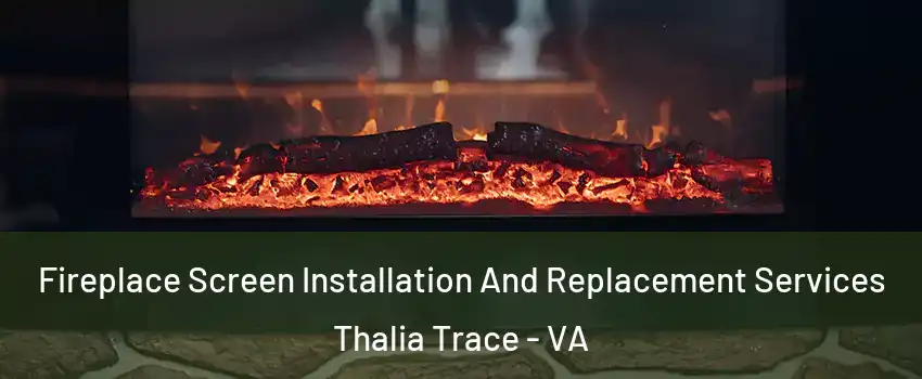 Fireplace Screen Installation And Replacement Services Thalia Trace - VA