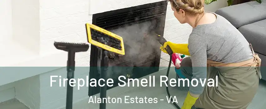 Fireplace Smell Removal Alanton Estates - VA