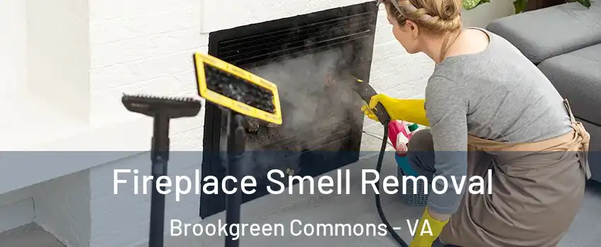 Fireplace Smell Removal Brookgreen Commons - VA