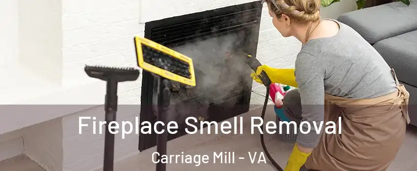 Fireplace Smell Removal Carriage Mill - VA