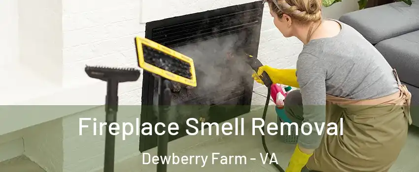 Fireplace Smell Removal Dewberry Farm - VA