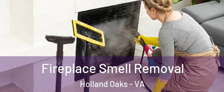 Fireplace Smell Removal Holland Oaks - VA