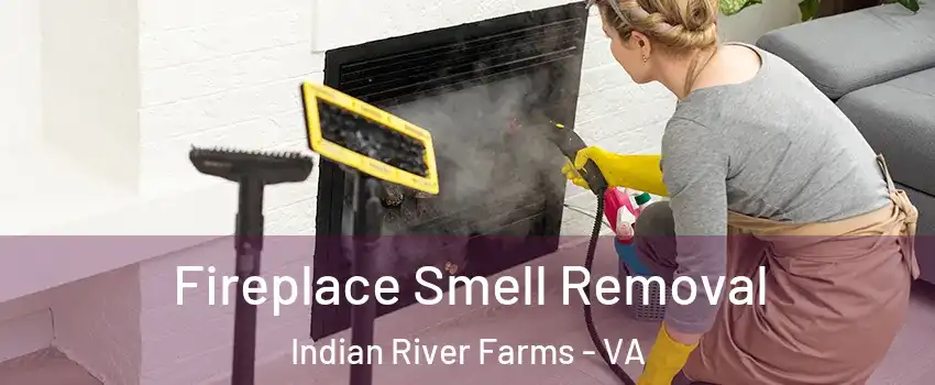 Fireplace Smell Removal Indian River Farms - VA