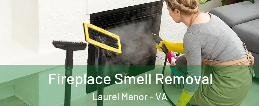 Fireplace Smell Removal Laurel Manor - VA