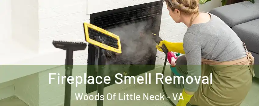 Fireplace Smell Removal Woods Of Little Neck - VA