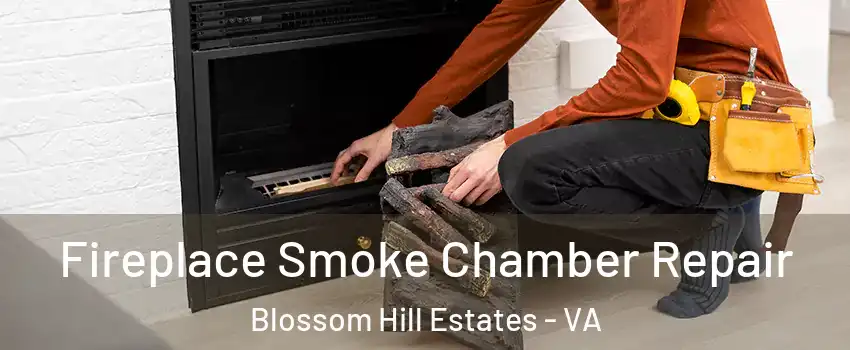 Fireplace Smoke Chamber Repair Blossom Hill Estates - VA