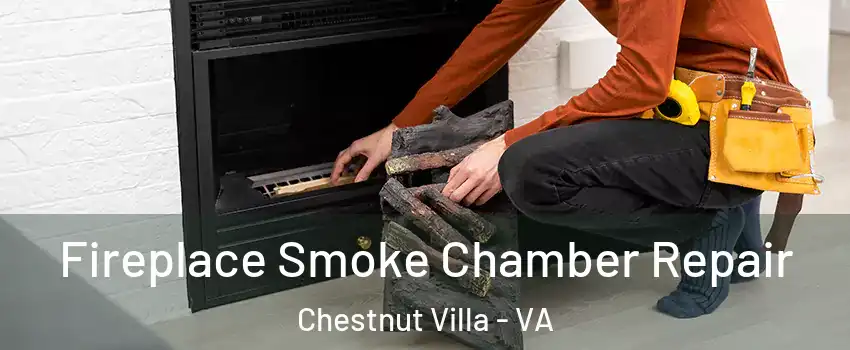 Fireplace Smoke Chamber Repair Chestnut Villa - VA