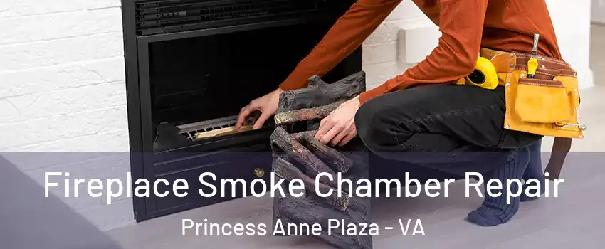 Fireplace Smoke Chamber Repair Princess Anne Plaza - VA