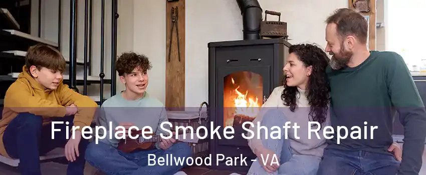 Fireplace Smoke Shaft Repair Bellwood Park - VA