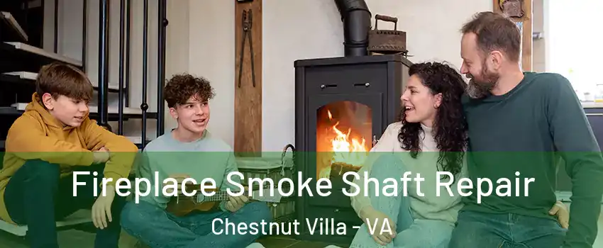 Fireplace Smoke Shaft Repair Chestnut Villa - VA