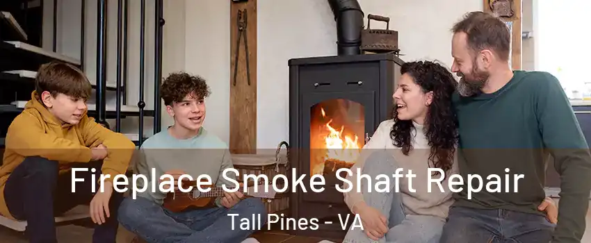 Fireplace Smoke Shaft Repair Tall Pines - VA