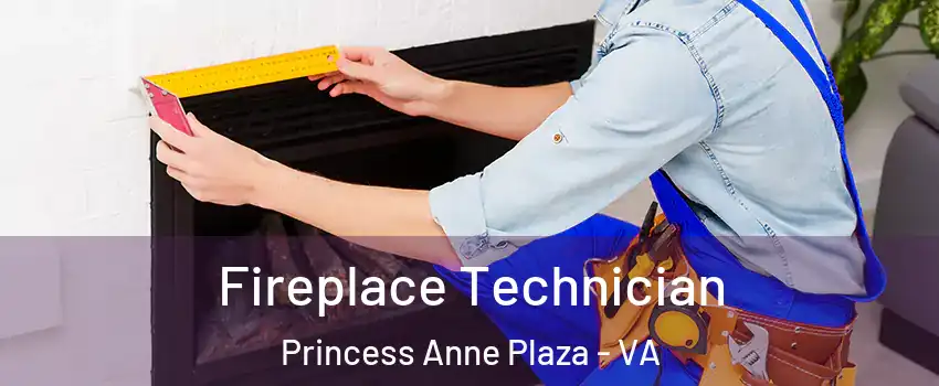 Fireplace Technician Princess Anne Plaza - VA