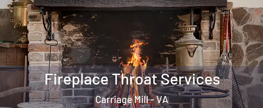 Fireplace Throat Services Carriage Mill - VA