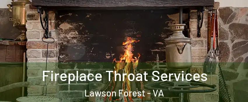 Fireplace Throat Services Lawson Forest - VA