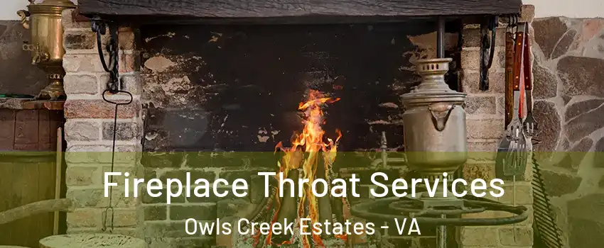 Fireplace Throat Services Owls Creek Estates - VA