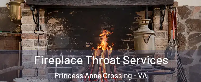 Fireplace Throat Services Princess Anne Crossing - VA