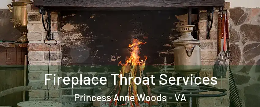 Fireplace Throat Services Princess Anne Woods - VA