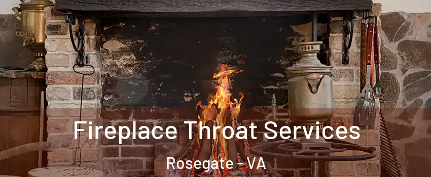 Fireplace Throat Services Rosegate - VA