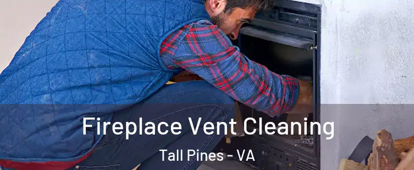 Fireplace Vent Cleaning Tall Pines - VA