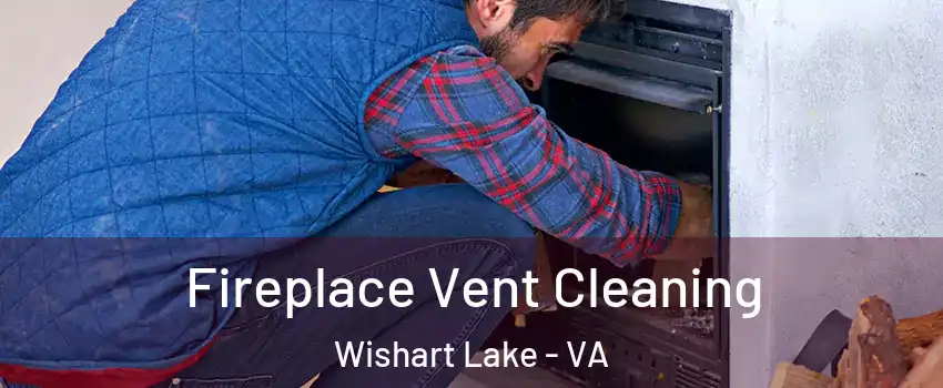 Fireplace Vent Cleaning Wishart Lake - VA