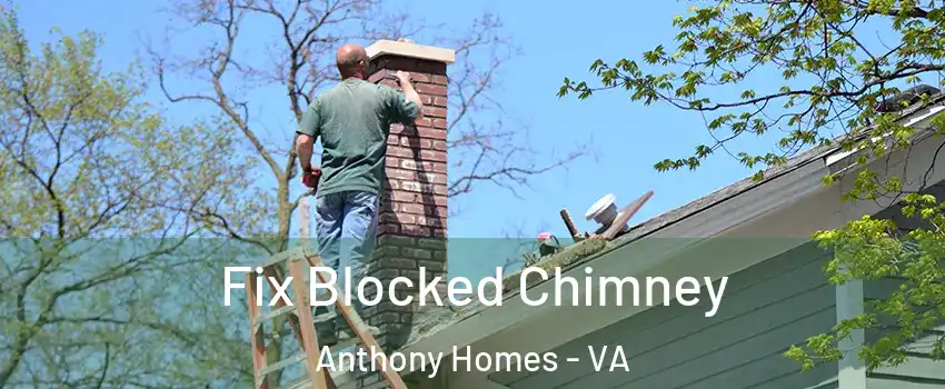 Fix Blocked Chimney Anthony Homes - VA