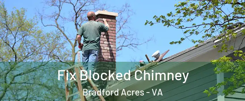 Fix Blocked Chimney Bradford Acres - VA