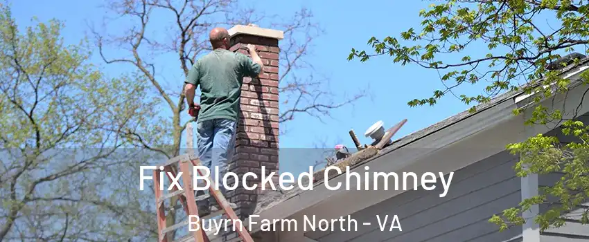 Fix Blocked Chimney Buyrn Farm North - VA