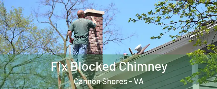 Fix Blocked Chimney Cannon Shores - VA